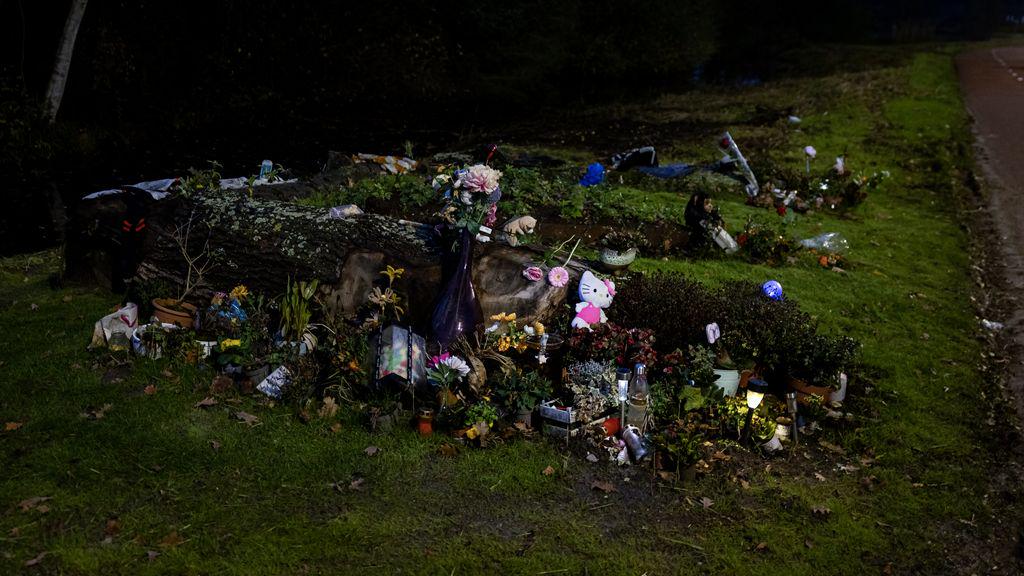 Bosjes weg, meer lantaarnpalen: grote gemeenten grijpen in na moord op Lisa