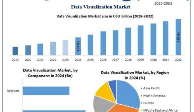 Data Visualization Market