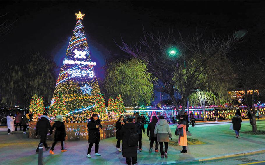 Illuminated tree outside in Suseong Light Festival.