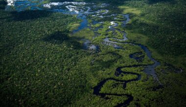 Climat : le monde reste sur une trajectoire de réchauffement catastrophique