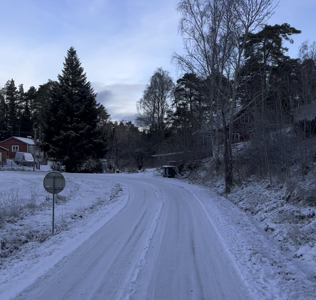 Såg en älg i morse