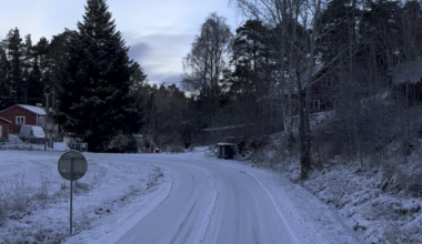 Såg en älg i morse