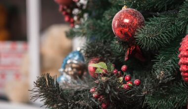 Tariffs causing higher prices on artificial Christmas trees - ABC 6 News