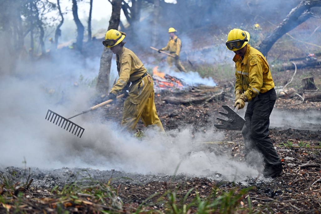 Wet month in Northern California eases wildfire outlook