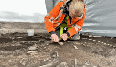 Skeletfund kan være Danmarks ældste - Det er ikke hver dag, at arkæologer finder et moseskelet. Men det gjorde arkæologen Daniel Teilmann forleden, og det kan vise sig at være oldgammelt.
