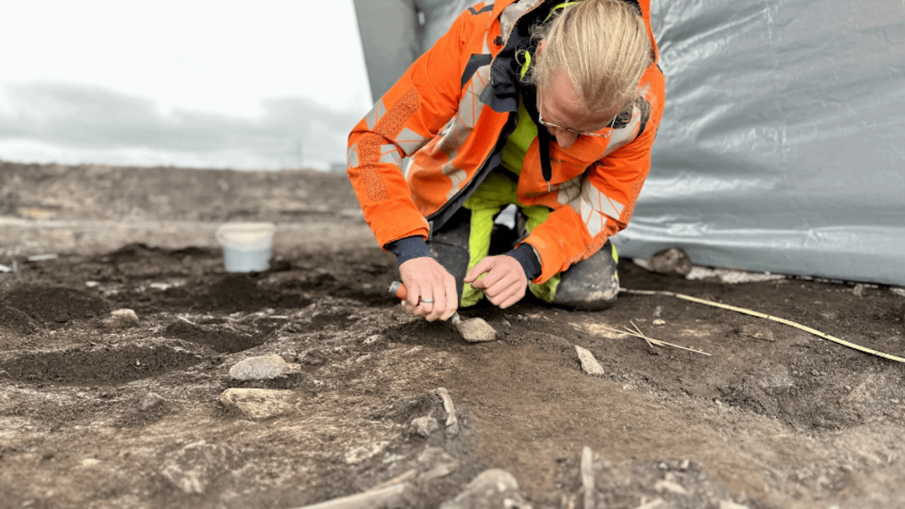 Skeletfund kan være Danmarks ældste - Det er ikke hver dag, at arkæologer finder et moseskelet. Men det gjorde arkæologen Daniel Teilmann forleden, og det kan vise sig at være oldgammelt.