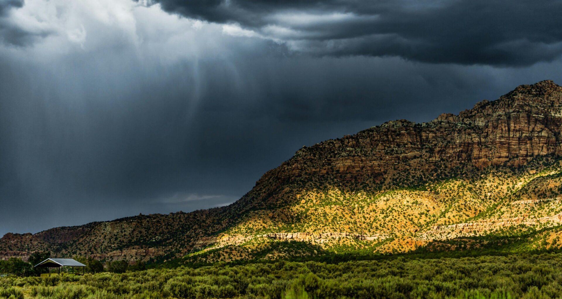 Earth system models overstate carbon removal: New findings suggest nitrogen fixation is 50% lower than thought