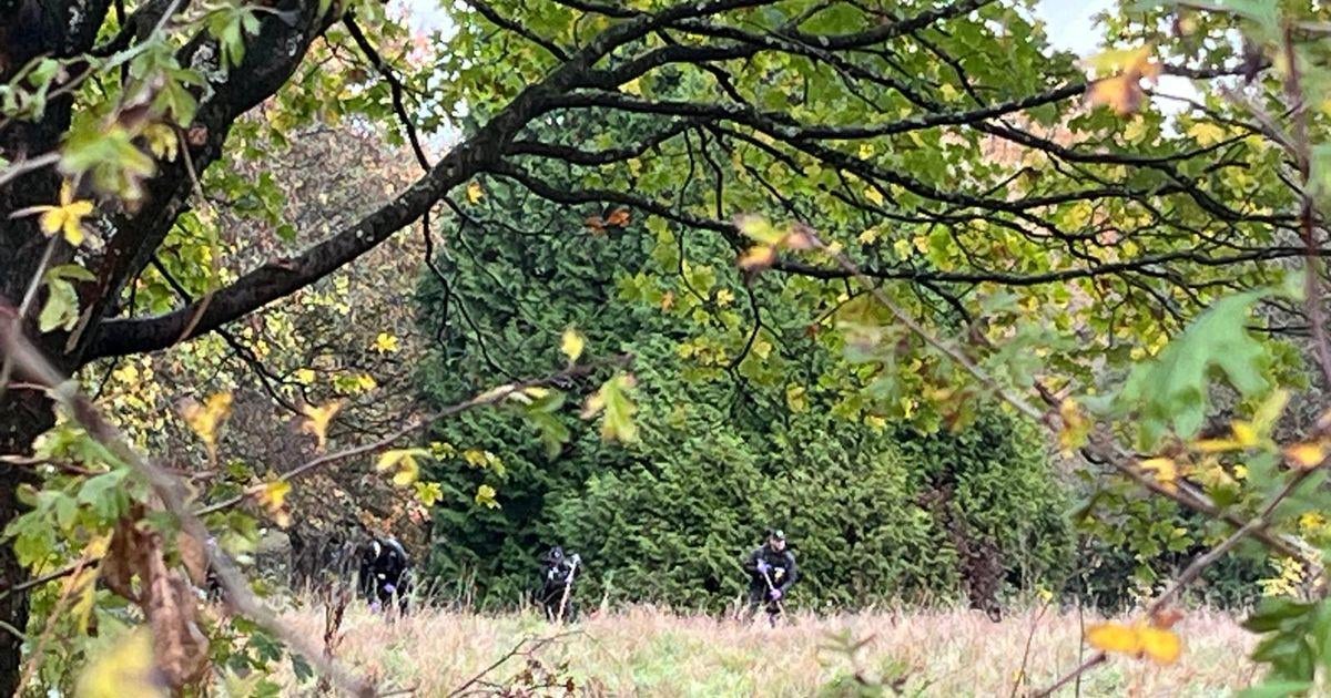 Runner 'stabbed seven times' in Cardiff park