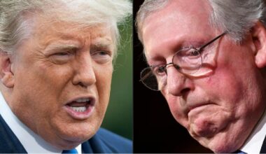Mitch McConnell Called Donald Trump a ‘Stupid’ and ‘Despicable Human Being’