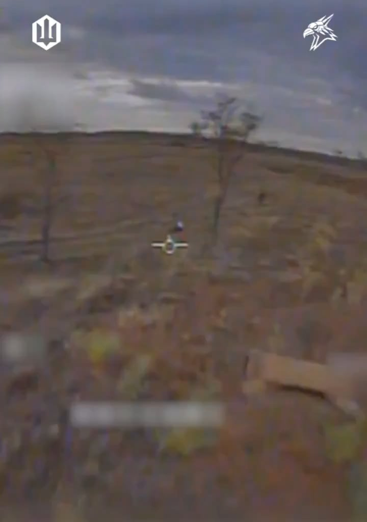 Destruction of a Russian flag-bearer by the drone pilot of Ukrainian SVAROG battalion