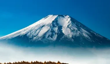 Top things to do in winter in Japan