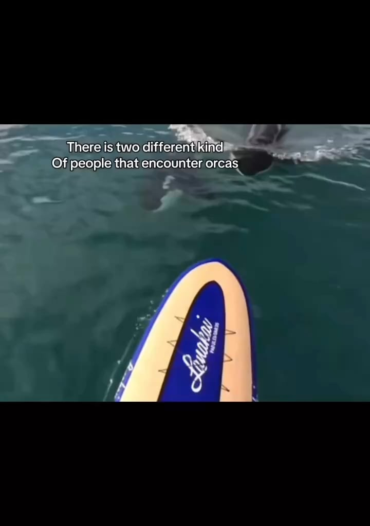 Whit a strange insult