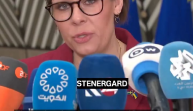 Sweden FM: EU trade with Russia exceeds aid to Ukraine