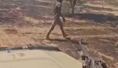 A Sudanese soldier guns down a dazed and unarmed RSF rebel after a raid on their convoy in Western Kordofan