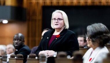 Veterans Affairs minister ‘respects’ independence of court in poppy ban decision - CTV News