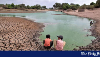 COP30 must confront the climate displacement crisis