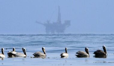 Local environmental groups push back on offshore drilling proposal – Times-Standard