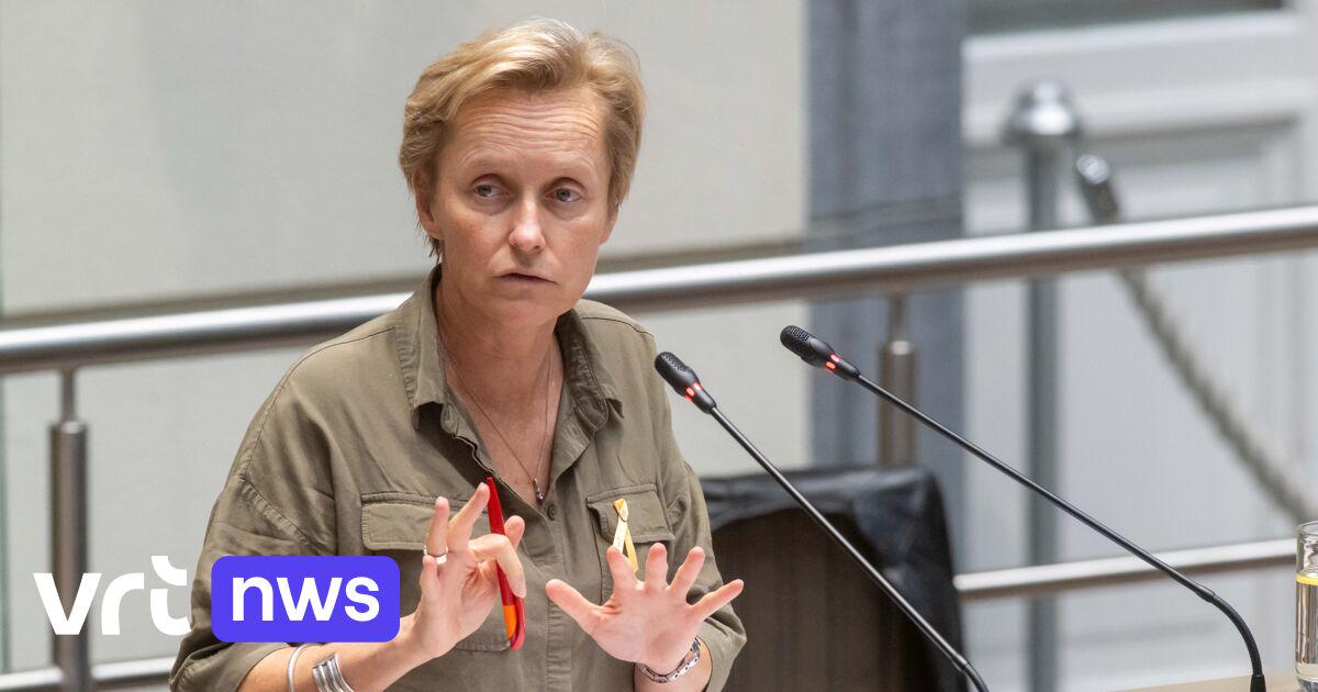 Vlaams minister De Ridder wil af van samenwerking met privébedrijven voor lokale trajectcontroles | VRT NWS: nieuws