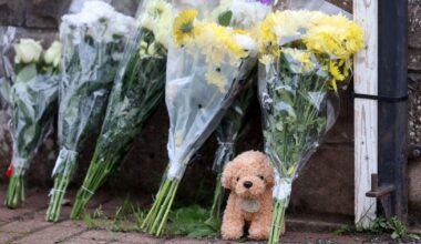 Baby killed by family's XL bully dog