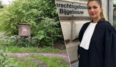 Negen minderjarigen voor jeugdrechtbank na groepsverkrachting van meisje (14): jongste verdachte pas 11 jaar oud