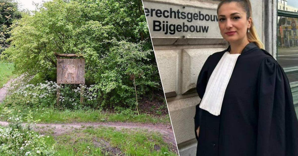 Negen minderjarigen voor jeugdrechtbank na groepsverkrachting van meisje (14): jongste verdachte pas 11 jaar oud