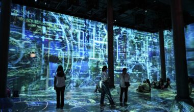 Efficiency and distribution in the European Union’s digital deregulation push