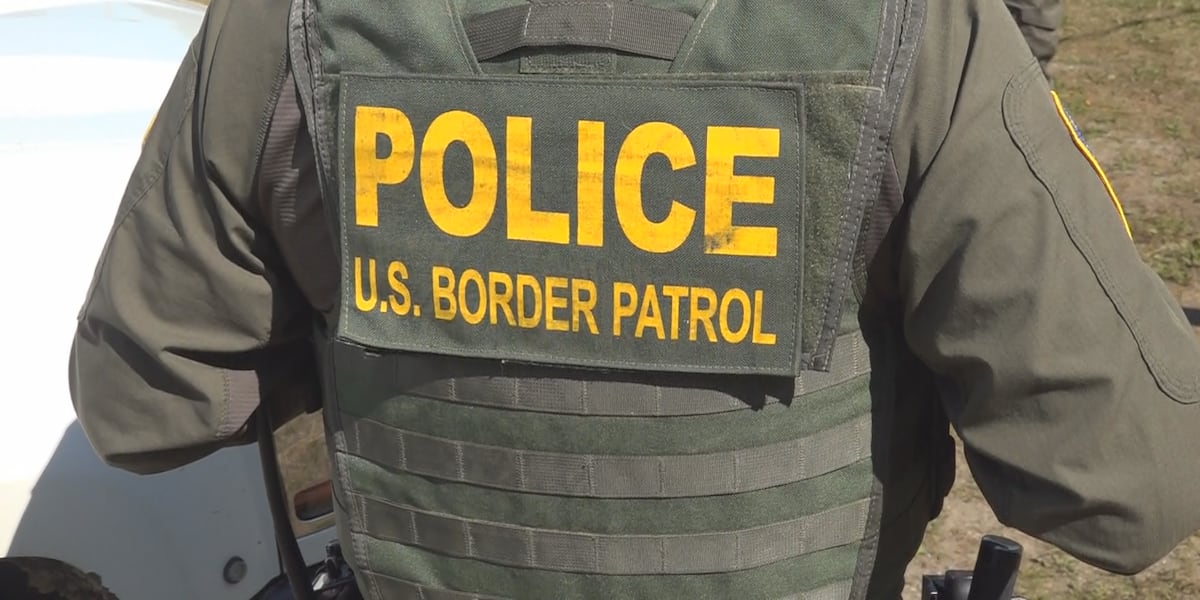 Federal immigration operation targets New Orleans area
