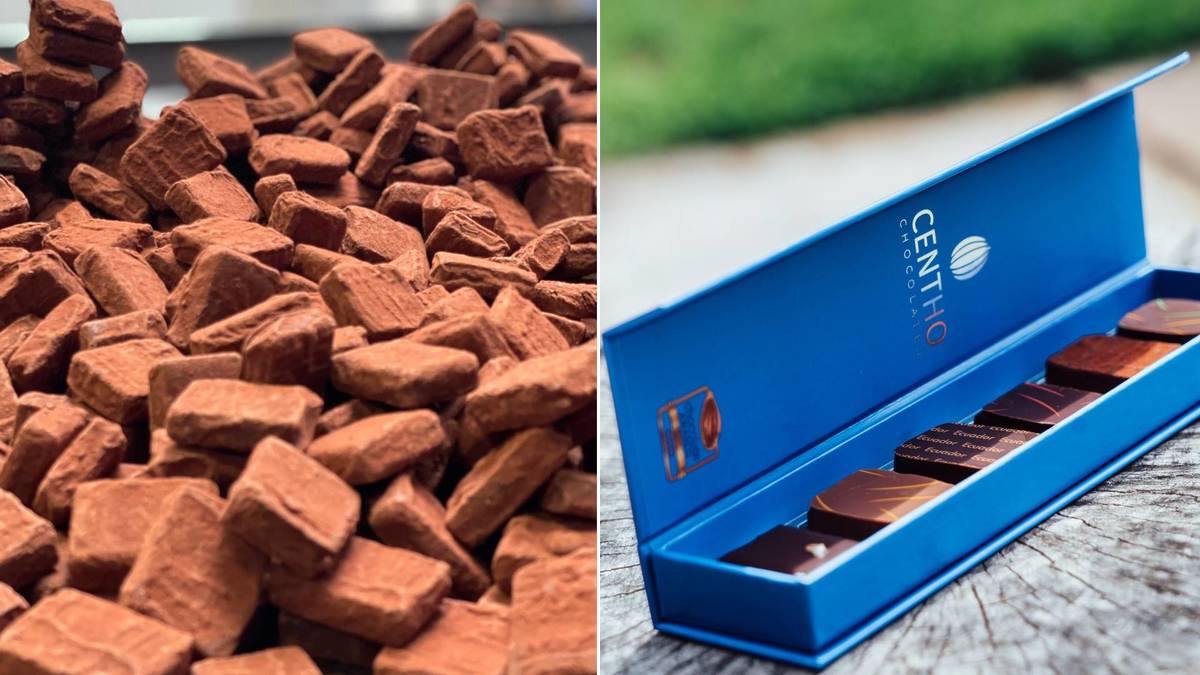 Élue meilleure chocolaterie de Belgique par le Gault&Millau, cette enseigne proche de Bruxelles n'est que très peu connue chez nous