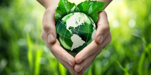 What does Pope Francis mean by “integral ecology?”