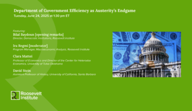 Department of Government Efficiency as Austerity’s Endgame