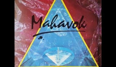 How much of this “Mahavok - Lootus (synth pop, Estonia, USSR 1987)” can you Finnish people understand? 🤷🏼‍♀️🇫🇮