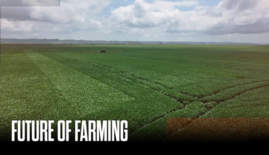 Could the next AI revolution be found on American farms?