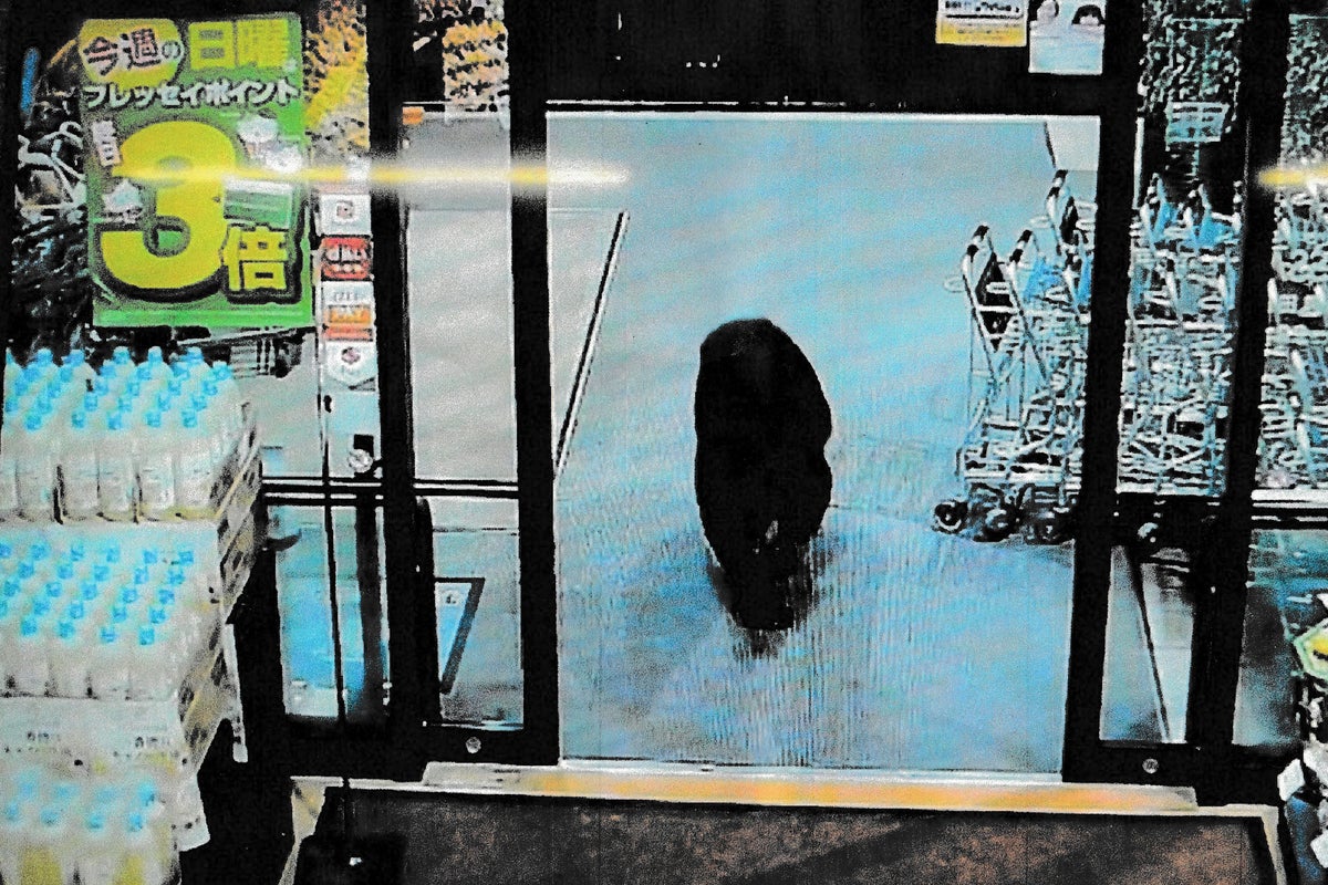 How Japan is helping hotels protect open-air baths amid deadly bear attacks