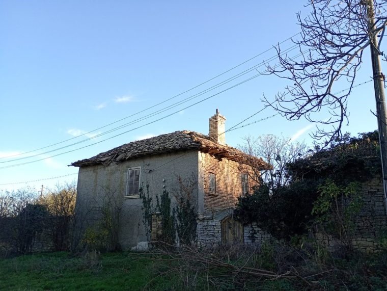 Sonja Morgenstern Money case study