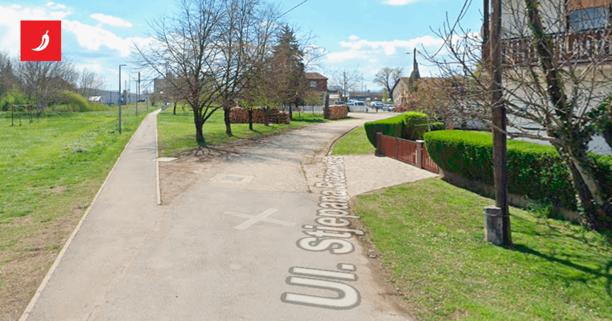 Djeca u Sisku srušila ženi snjegovića. Ona otišla po plinski pištolj pa pucala u zrak