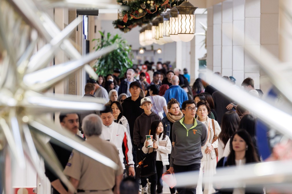 Economic worries don’t stop Black Friday spending in Bay Area – The Mercury News