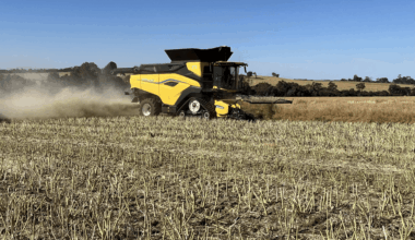 Australia details yr to Sep canola exports