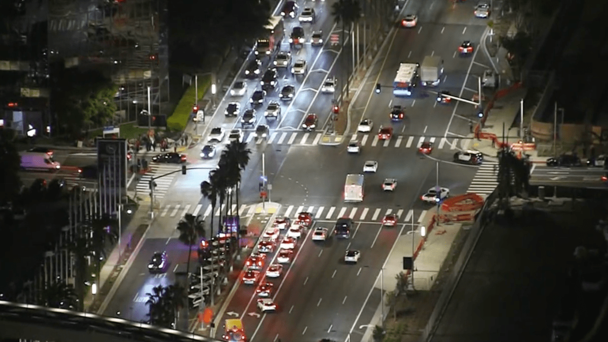 Airline caterers protest near LAX ahead of holiday rush – NBC Los Angeles