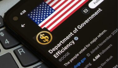 The Department of Government Efficiency