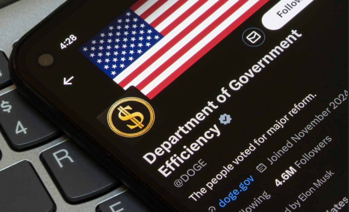 The Department of Government Efficiency