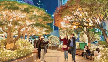 Light up your holiday season in South Korea!
