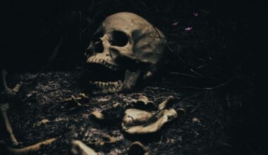 JUST NU: Tusentals skelett hittade i Litauen – kopplas till Sverige