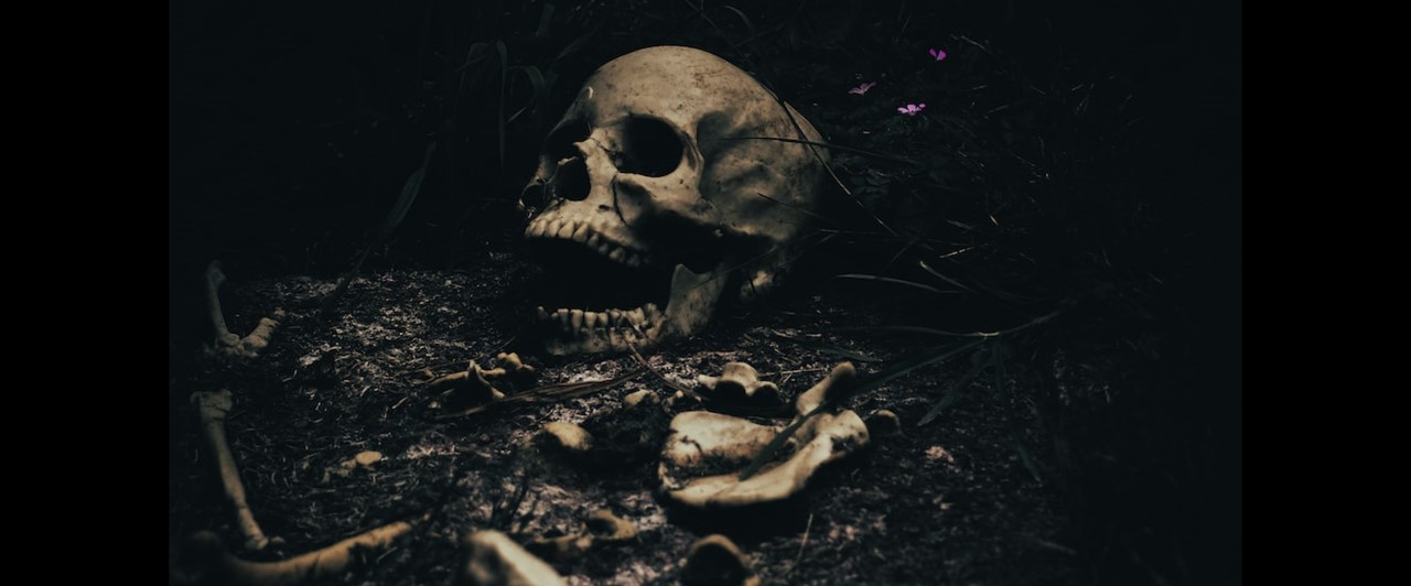 JUST NU: Tusentals skelett hittade i Litauen – kopplas till Sverige