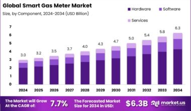 Smart Gas Meter Market
