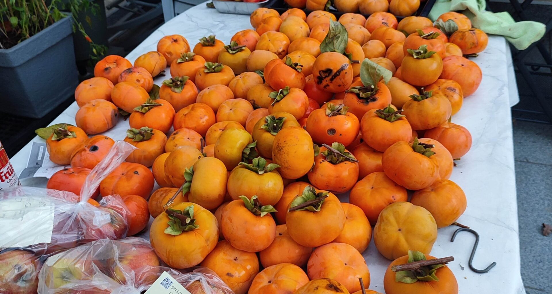 Kaki Ernte von letzter Woche