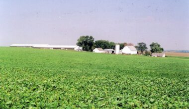 Trade, Tariffs, and Soybeans