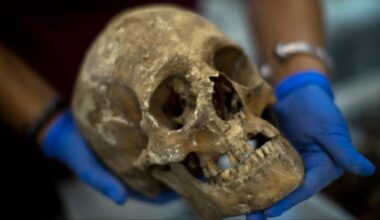 50 years after Franco’s death, fascism’s blood-soaked legacy still haunts Spain