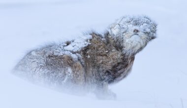 17 images capturing the brutality and beauty of nature