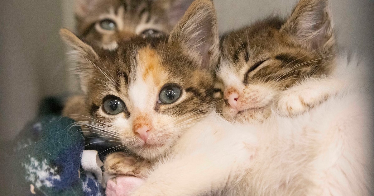 Business datebook for week of Nov. 30