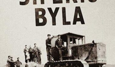 Šiferis-viskas, ką norėjai sužinoti, bet bijojai paklausti